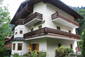 Apartment Hofgastein